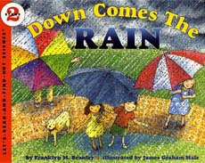 Down Comes the Rain