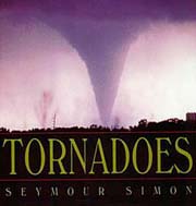 Lightning by Seymour Simon