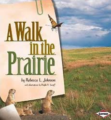 What is the prairie food web?