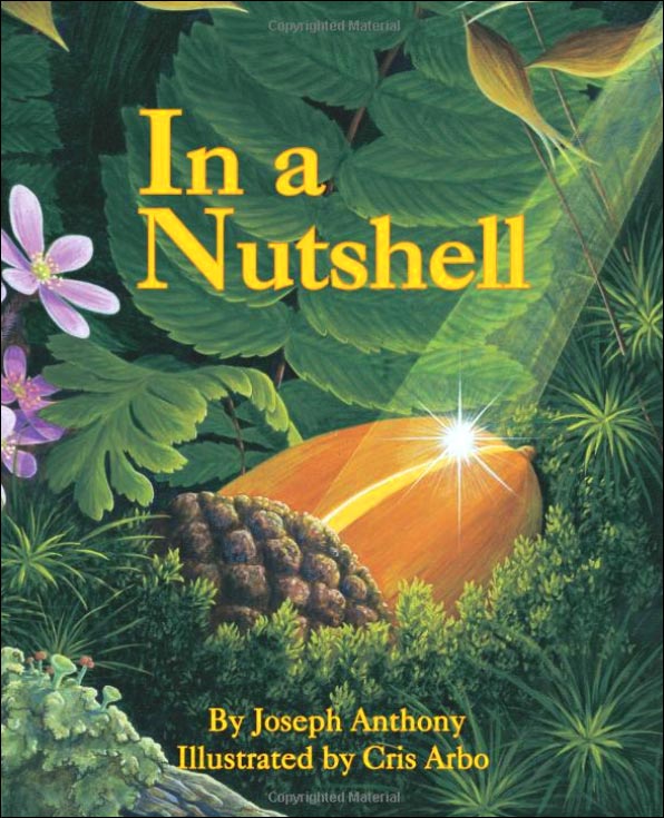 Plants for Kids Best Children�s Books on Plants, Seeds