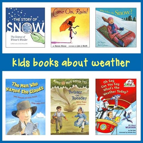 Best Books On Weather For Kids In K 8