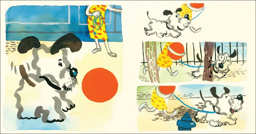 A Ball For Daisy Adorable Caldecott Winner