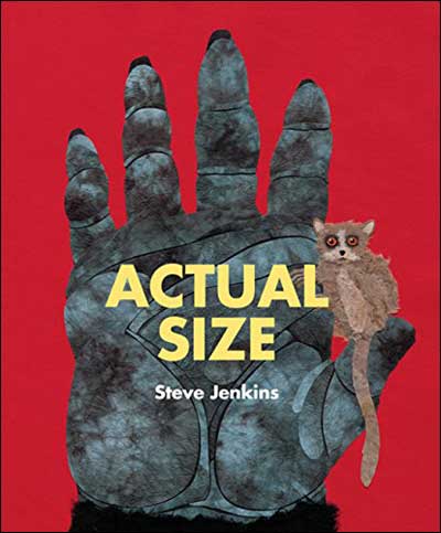 The Animal Book by Steve Jenkins The Animal Book by Steve Jenkins