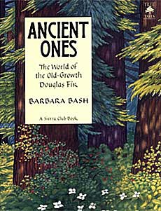 10 Best Forest Habitat And Forest Animals Books For Kids