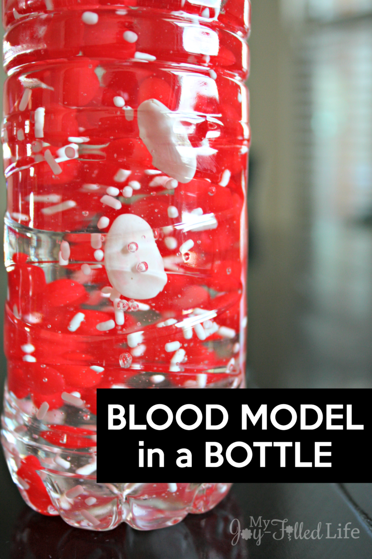 A Drop Of Blood By Paul Showers