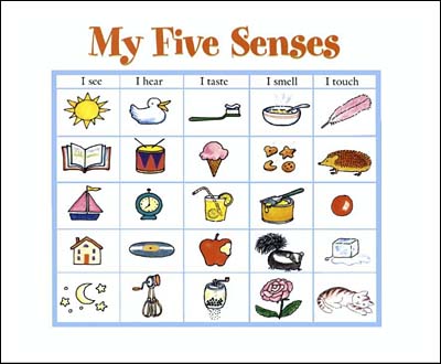 My Five Senses by Aliki My Five Senses by Aliki
