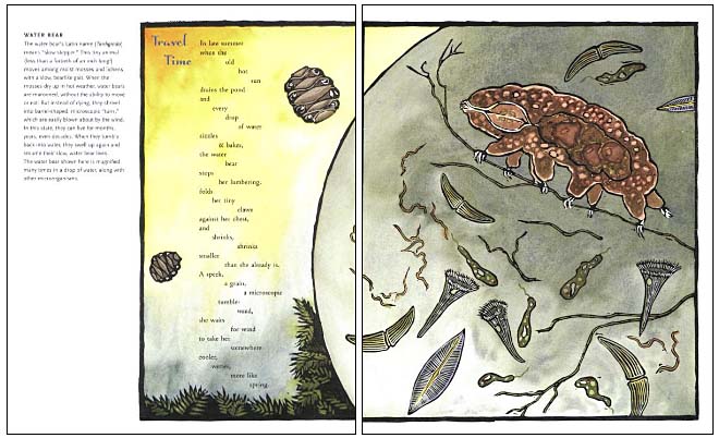 Song of the Water Boatman and Other Pond Poems by Joyce Sidman Song of the Water Boatman and Other Pond Poems by Joyce Sidman