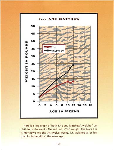 Tiger Math Level C - 1 for Grade 2 by Michelle Y. You Tiger Math Level C - 1 for Grade 2 by Michelle Y. You
