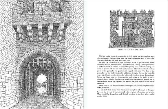 building the book cathedral david macaulay building the book cathedral david macaulay