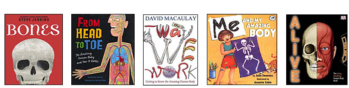 body books for 7 year olds body books for 7 year olds